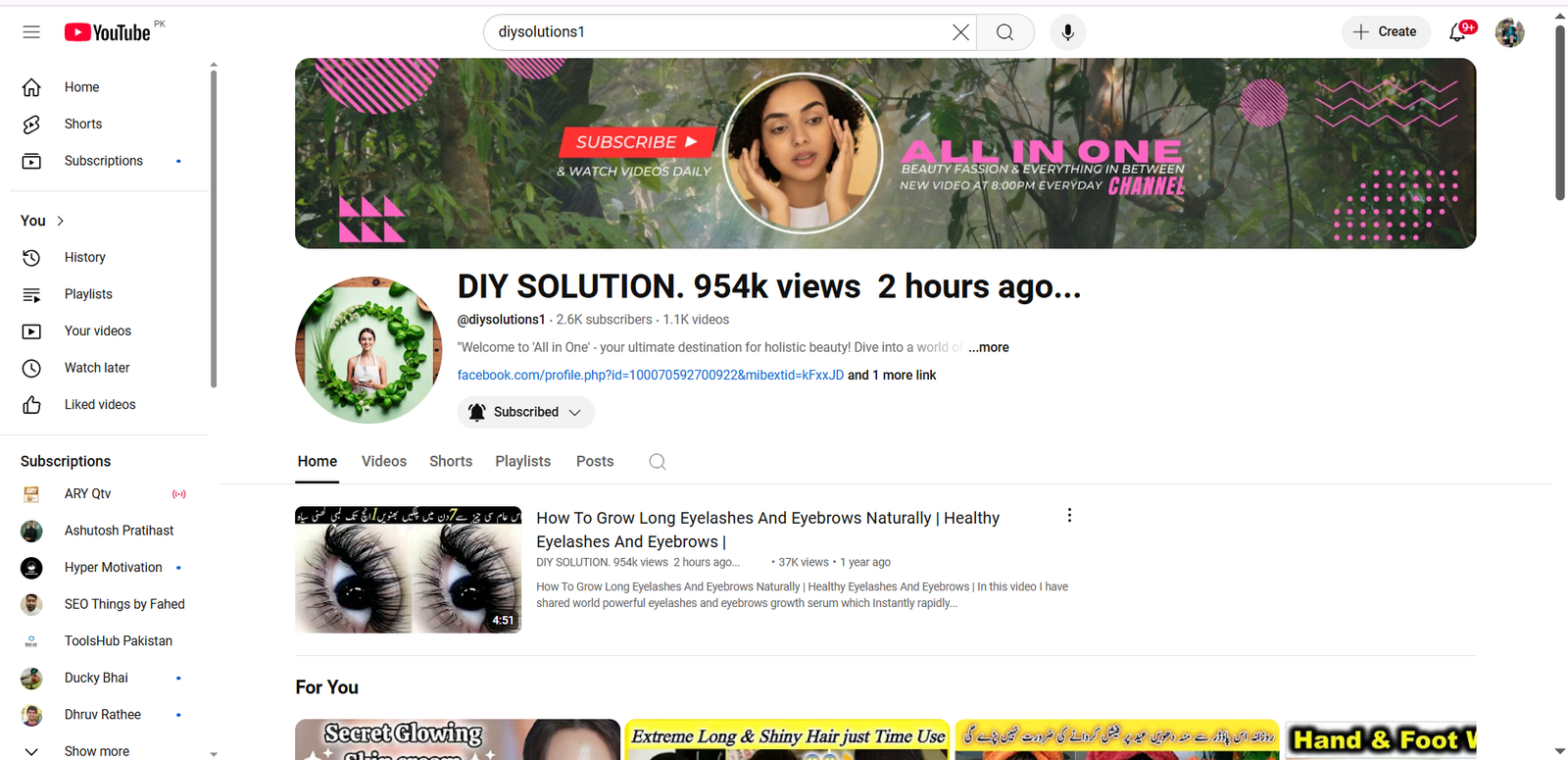 diysolutions1 seo project